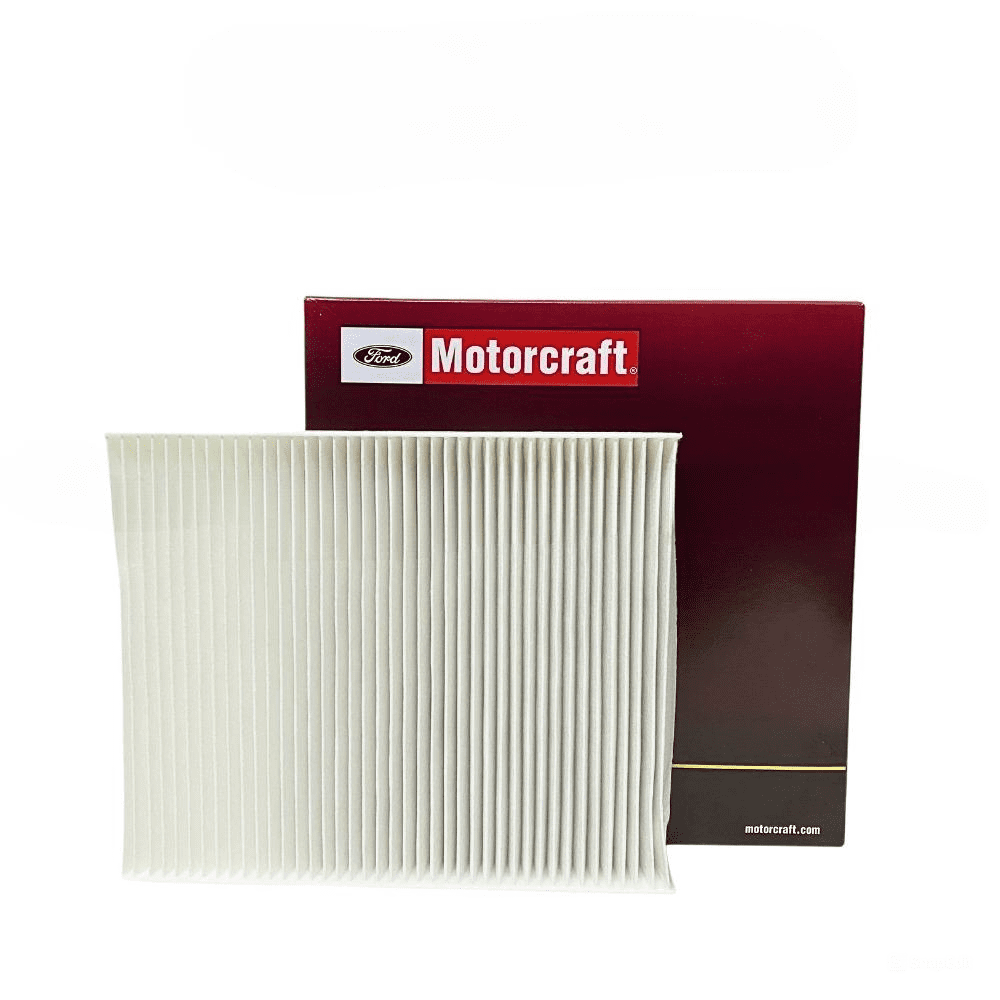 snapedit_1718186702025 snapedit 1718186702025