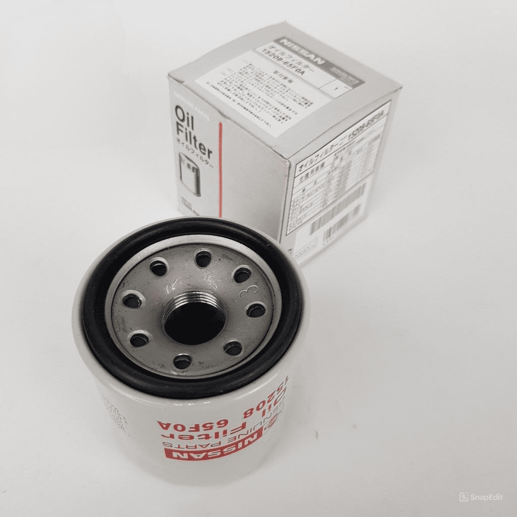 snapedit_1719294686987 snapedit 1719294686987