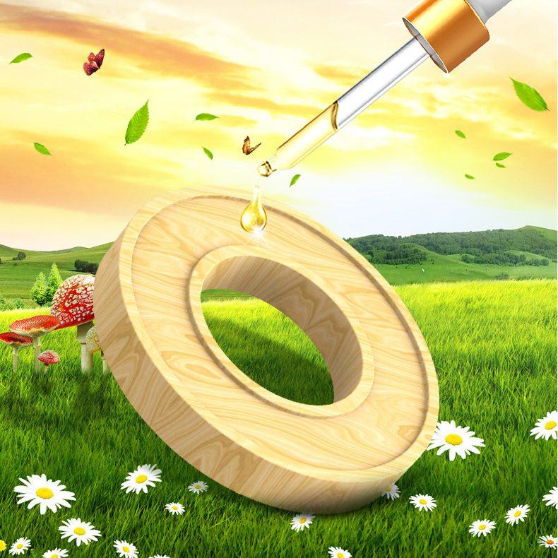 13911233396_337704249 13911233396 337704249